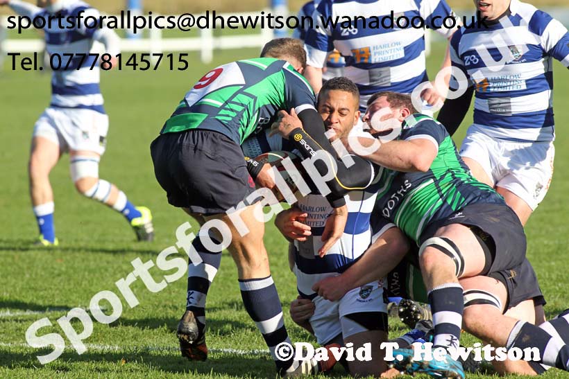 Tynedale v Preston Grasshoppers, Tynedale Park, Corbridge, Northumberland. Photo: David T. Hewitson/Sports for All Pics